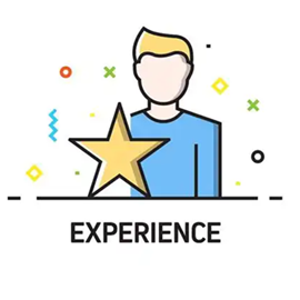 Professional Experience