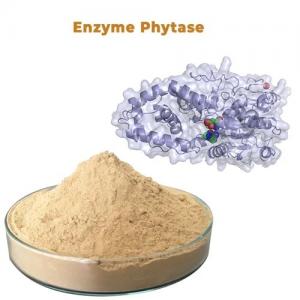 Phytase